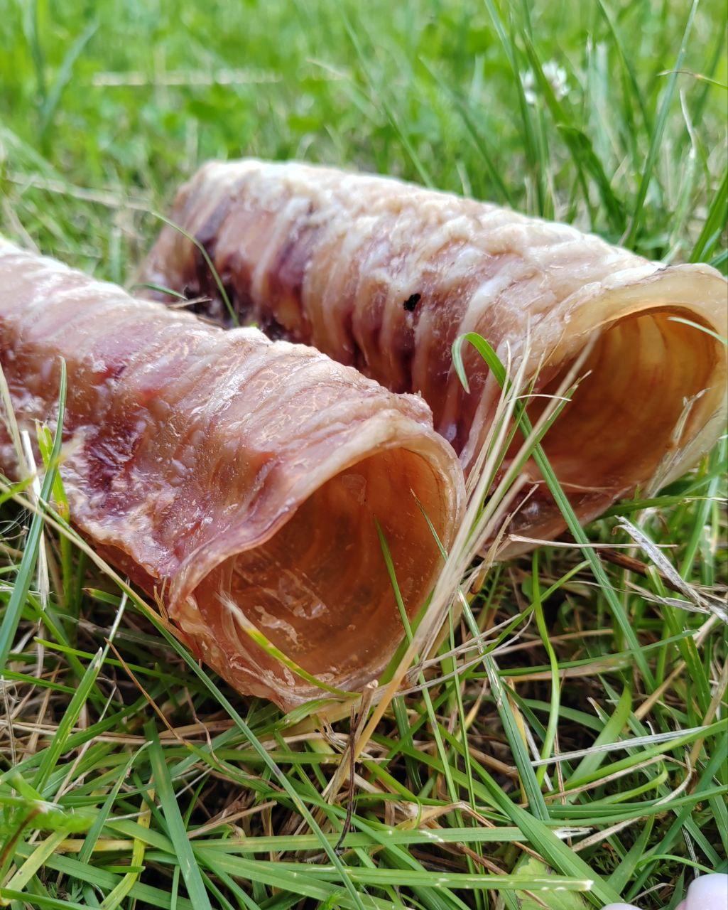 Пакет с продукцией